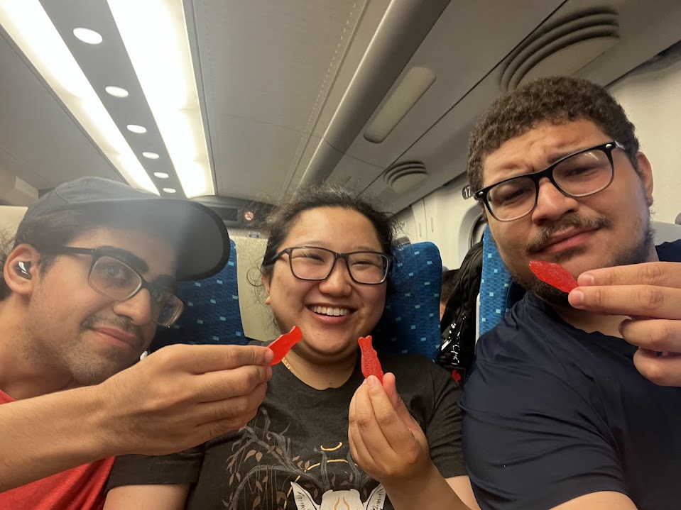 Placeholder image of a train in Tokyo